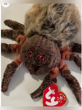 Hairy the Spider